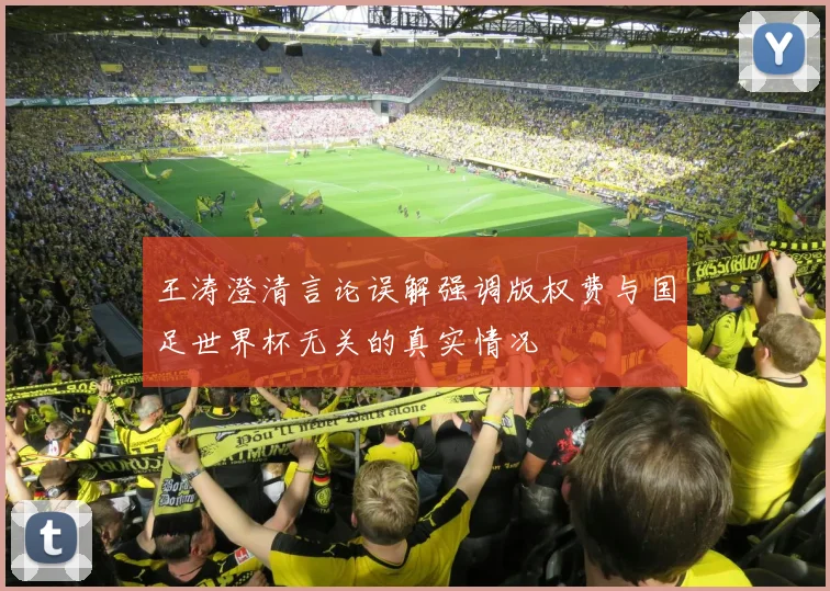 王涛澄清言论误解强调版权费与国足世界杯无关的真实情况